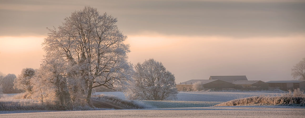 Cotswolds Winter Morning