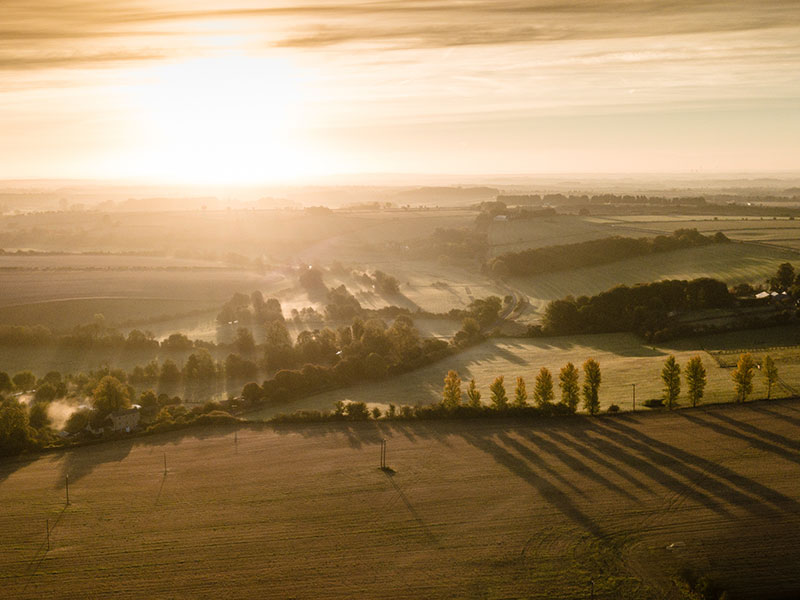 Best Cotswolds Walks Wilderness England