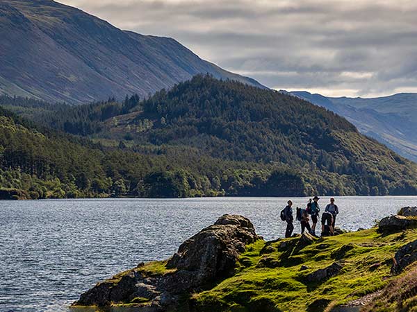 The Office Team - Wilderness England