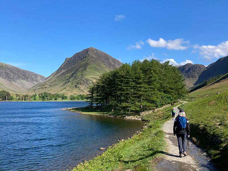 Why You Should Visit England in August - Wilderness England