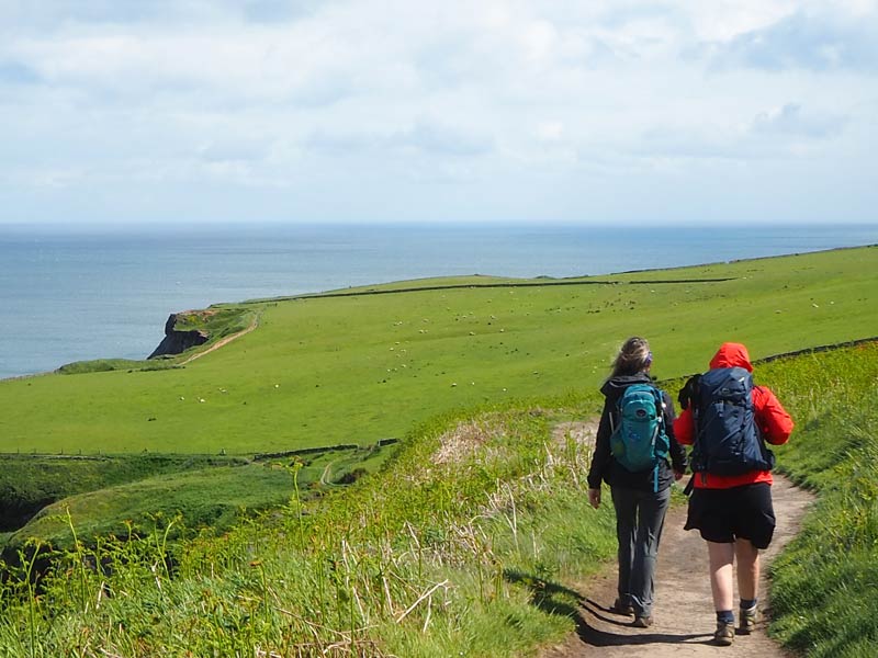 Why You Should Visit England in May Wilderness England