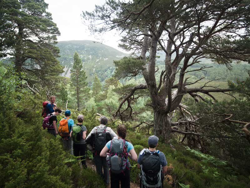 National Parks of the UK Walking Holiday | Wilderness England