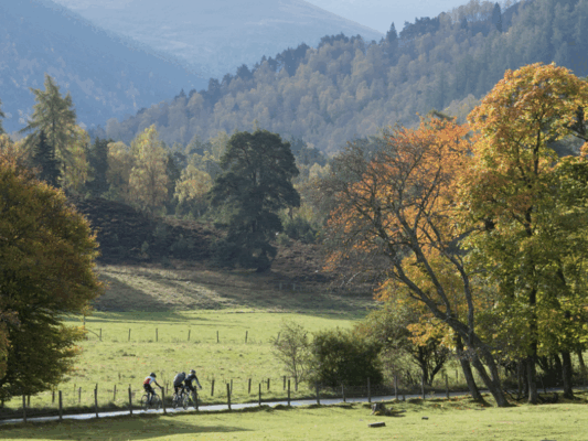 England October Experience Autumn in England | Wilderness England