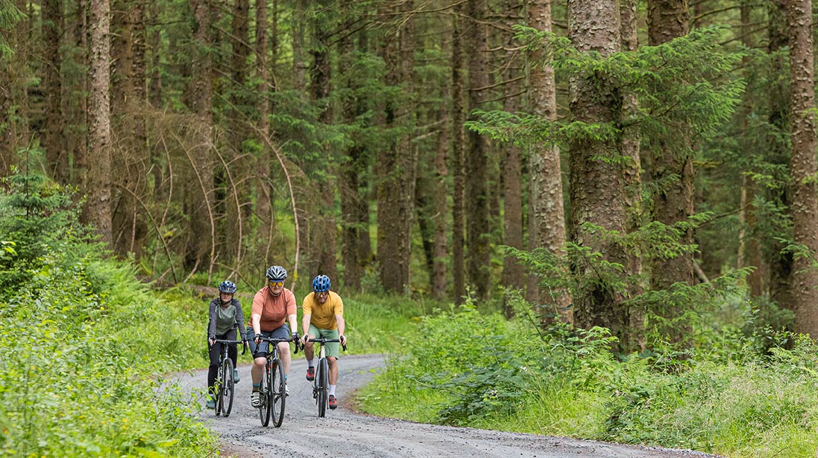 Exploring the serene forest trails of Galloway on two wheels.