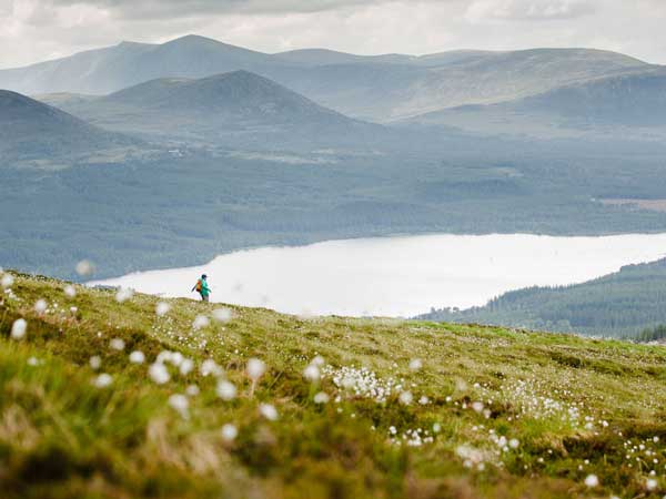 セール(SALE)開催中！ファッション通販 Holiday Walking UK the of Parks National | England Wilderness コレクターアイテム